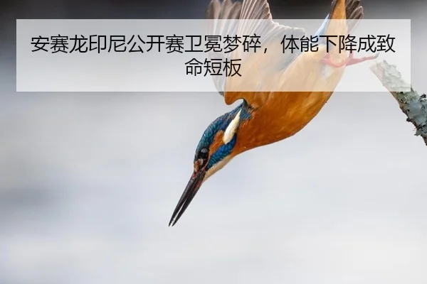 安赛龙印尼公开赛卫冕梦碎，体能下降成致命短板