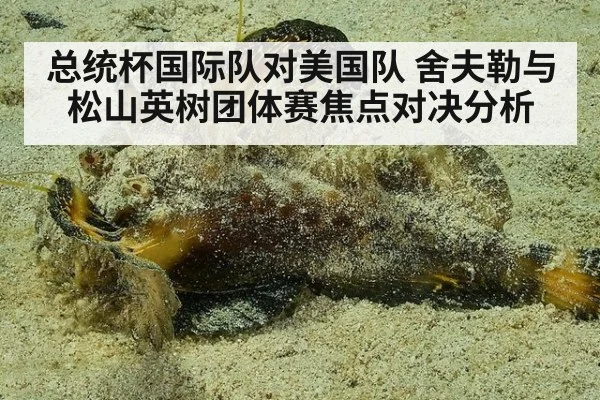总统杯国际队对美国队 舍夫勒与松山英树团体赛焦点对决分析